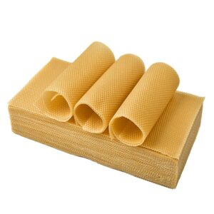 Cera estampada profunda sin alambre Langstroth - 30 láminas de 75g cada una
